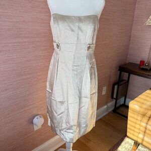 David’s Bridal Strapless Champagne Dress